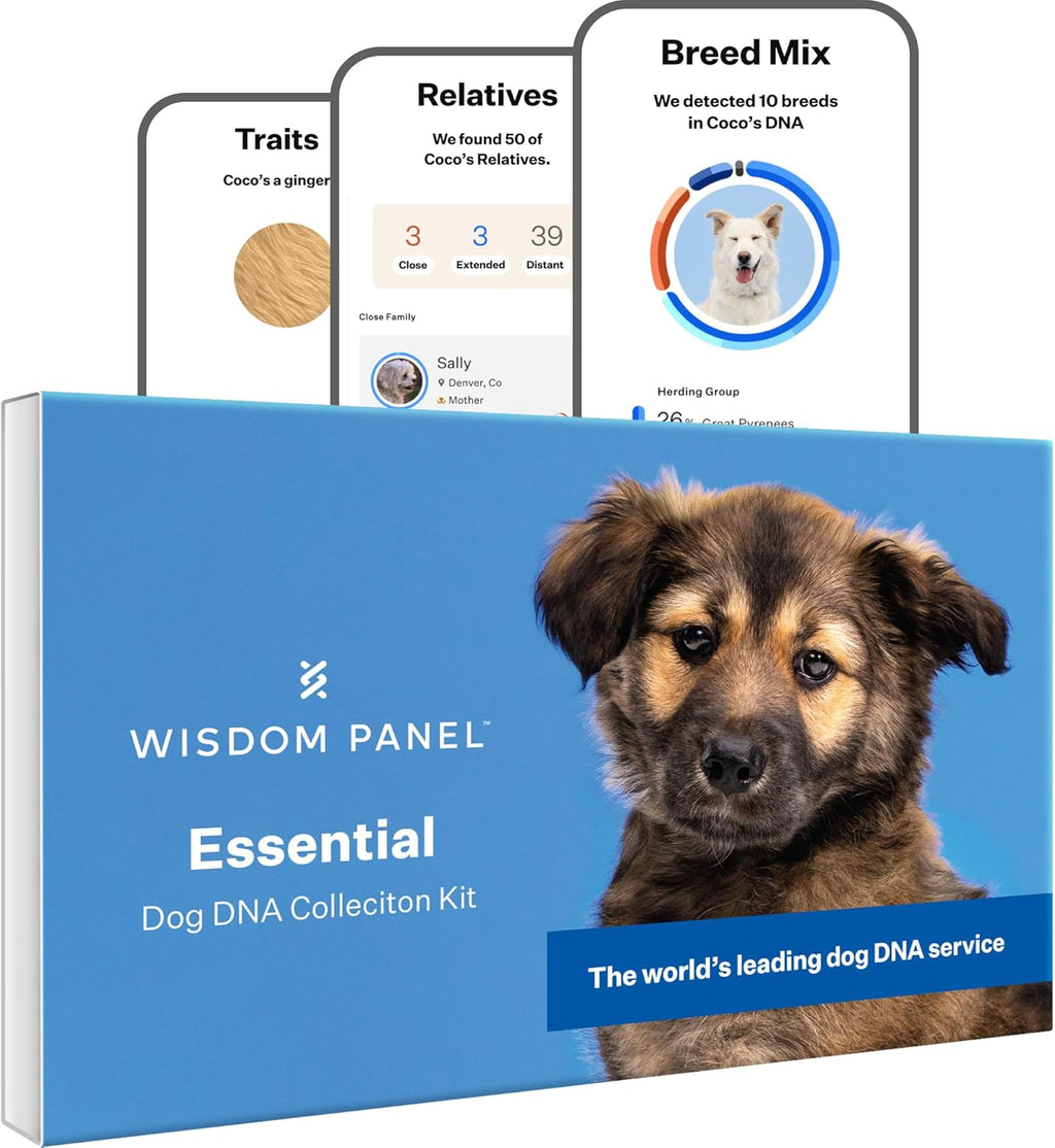 Wisdom Panel Essential Hunde DNA-Kollektorset