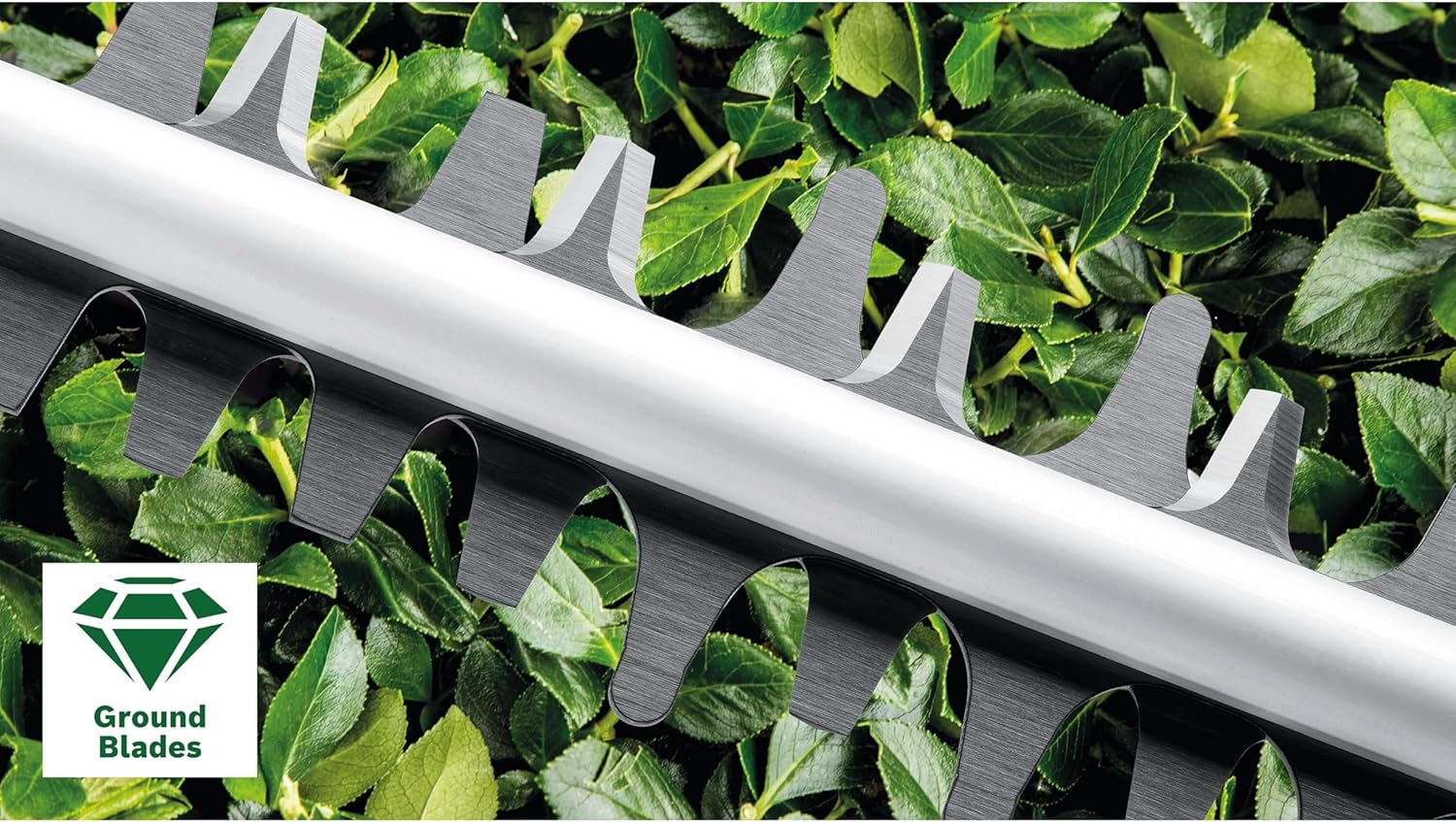 Bosch Heckenschere UniversalHedgeCut 60 (480 Watt, Messerlänge: 60 cm, für mittelgroße Hecken, Messerabstand: 30 mm, im Karton)