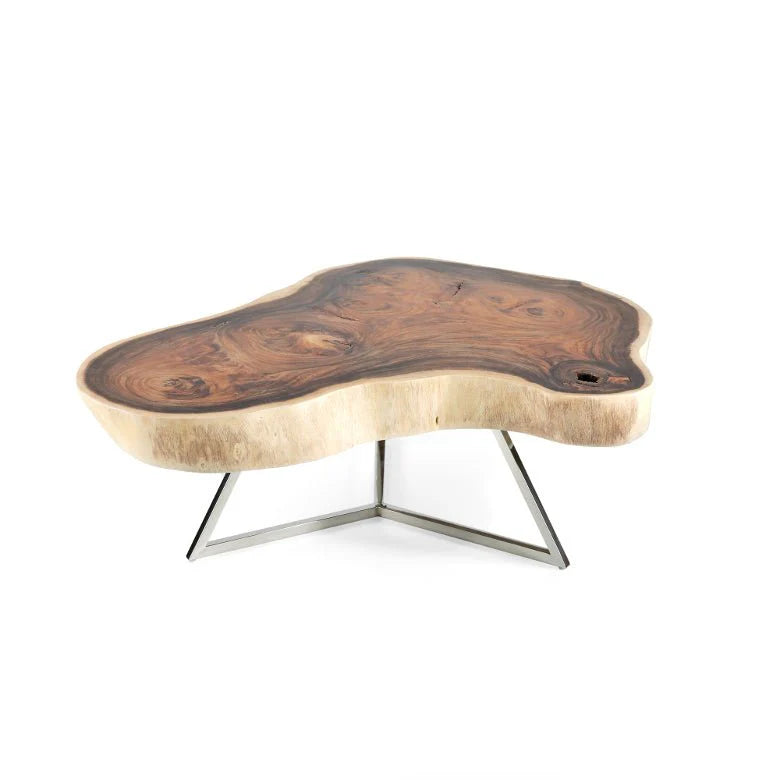 Couchtisch Baumscheibe DILAS  110 x 110 cm