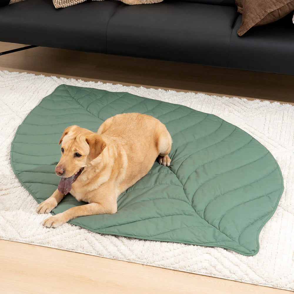 Coperta per cani a forma di foglia per persone - Tappetino comfort extra large