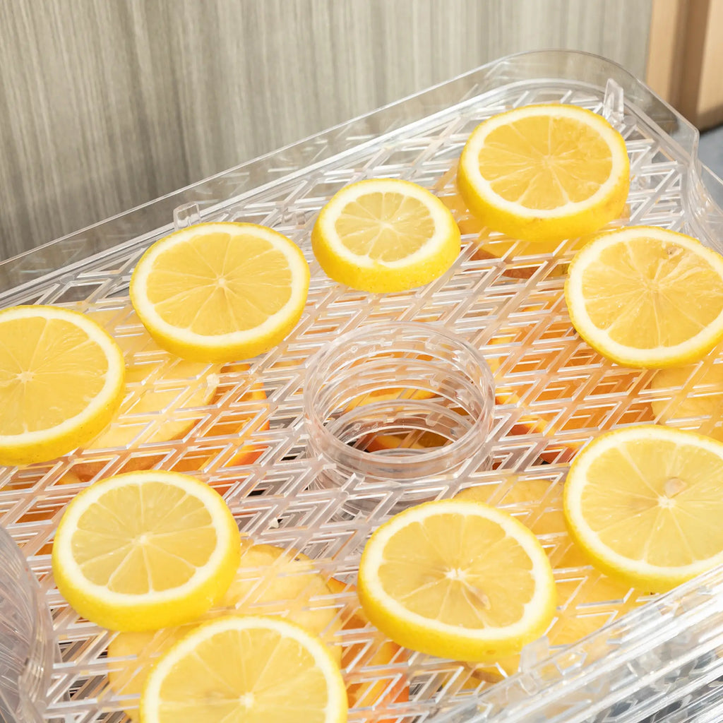 HOMCOM Essiccatore per Alimenti a 5 Livelli con Temperatura Regolabile in Acciaio Inox