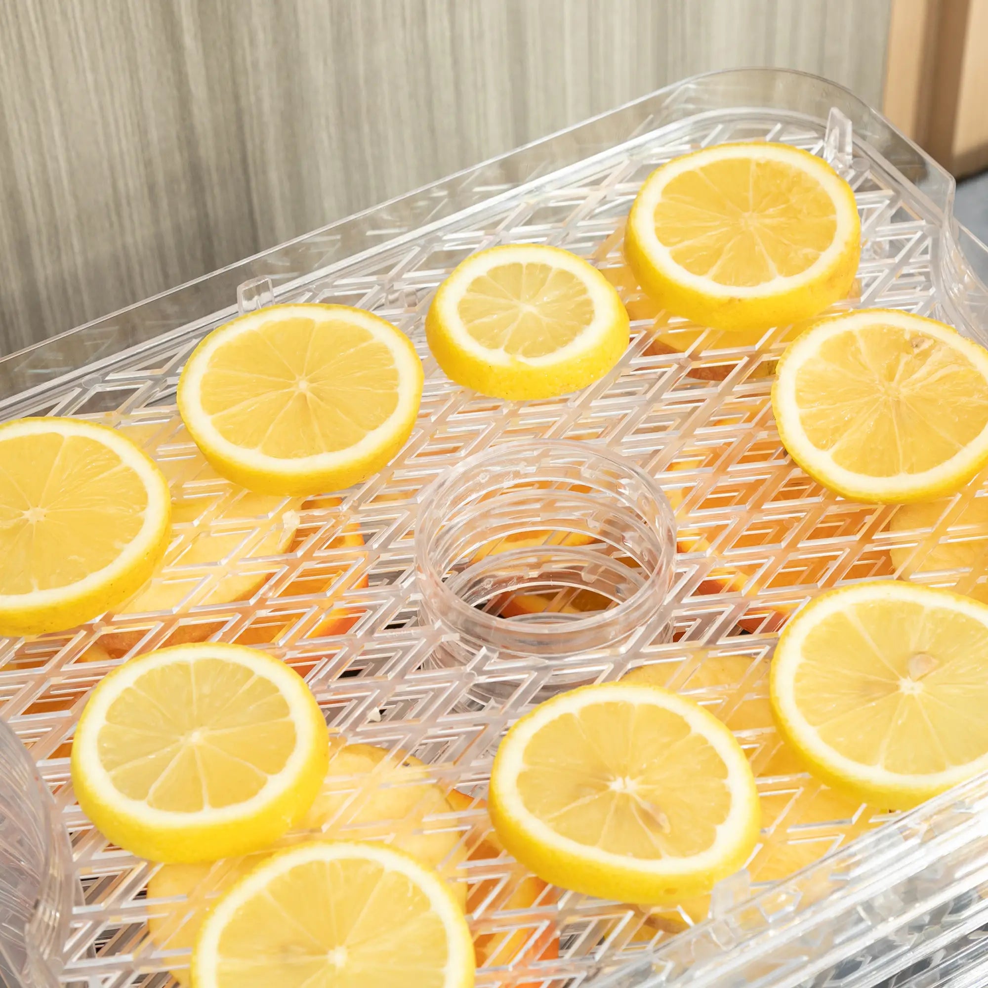 HOMCOM Essiccatore per Alimenti a 5 Livelli con Temperatura Regolabile in Acciaio Inox