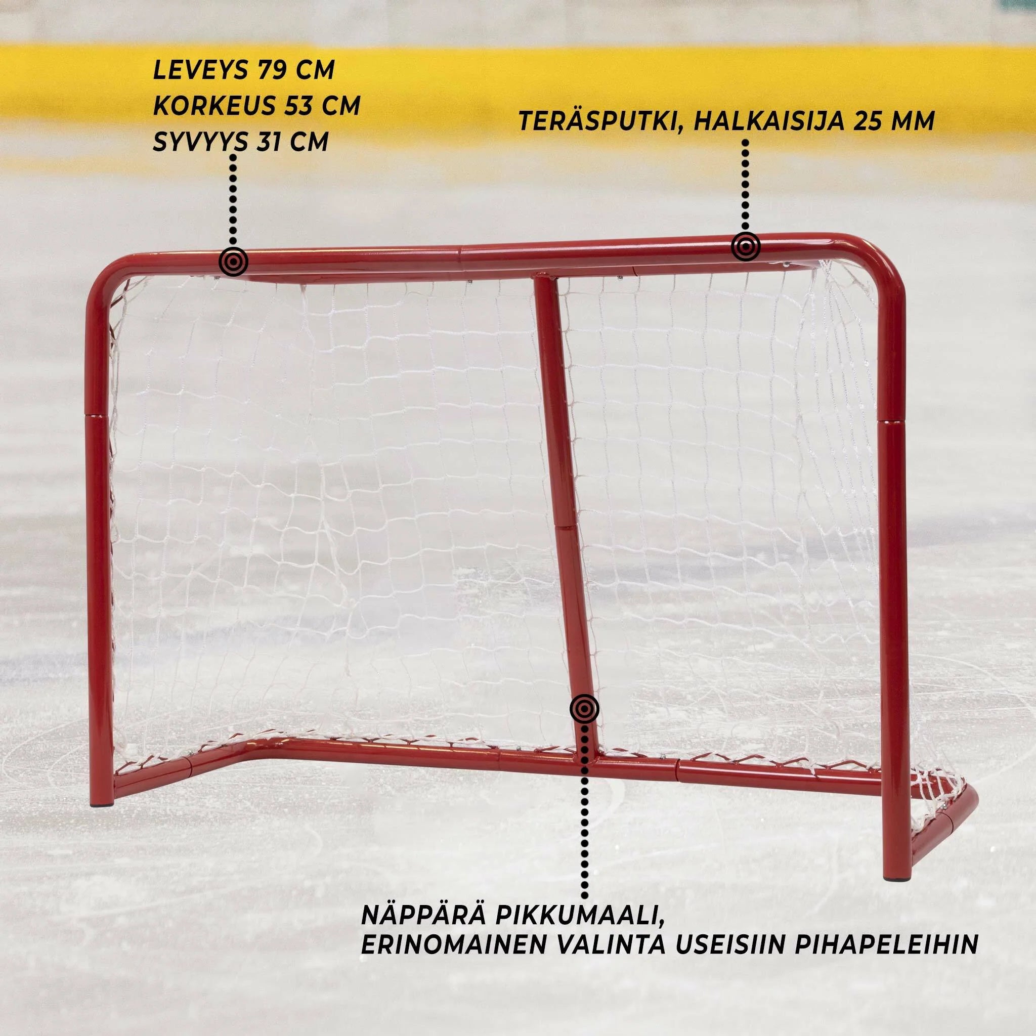 Porta da Hockey su Ghiaccio Stabile Prosport
