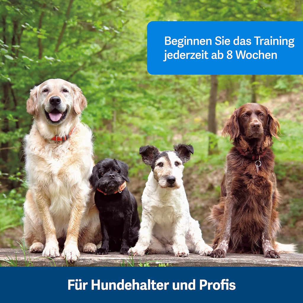 PetSafe Teach and Treat, distributore di premi per addestramento cani, telecomandato, per addestramento e rinforzo positivo, richiede 4 batterie D, grigio