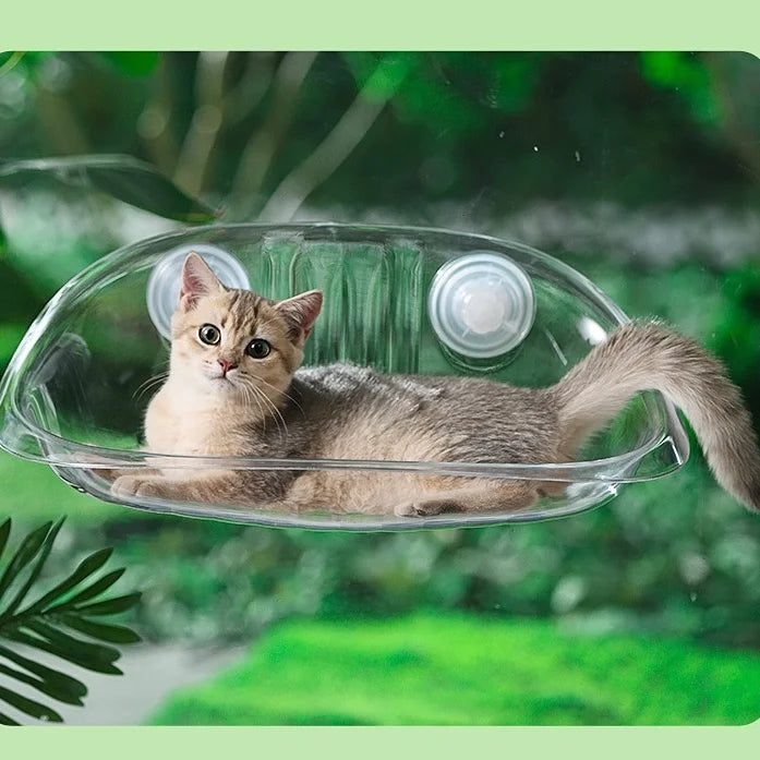 Fensterliege für Katzen