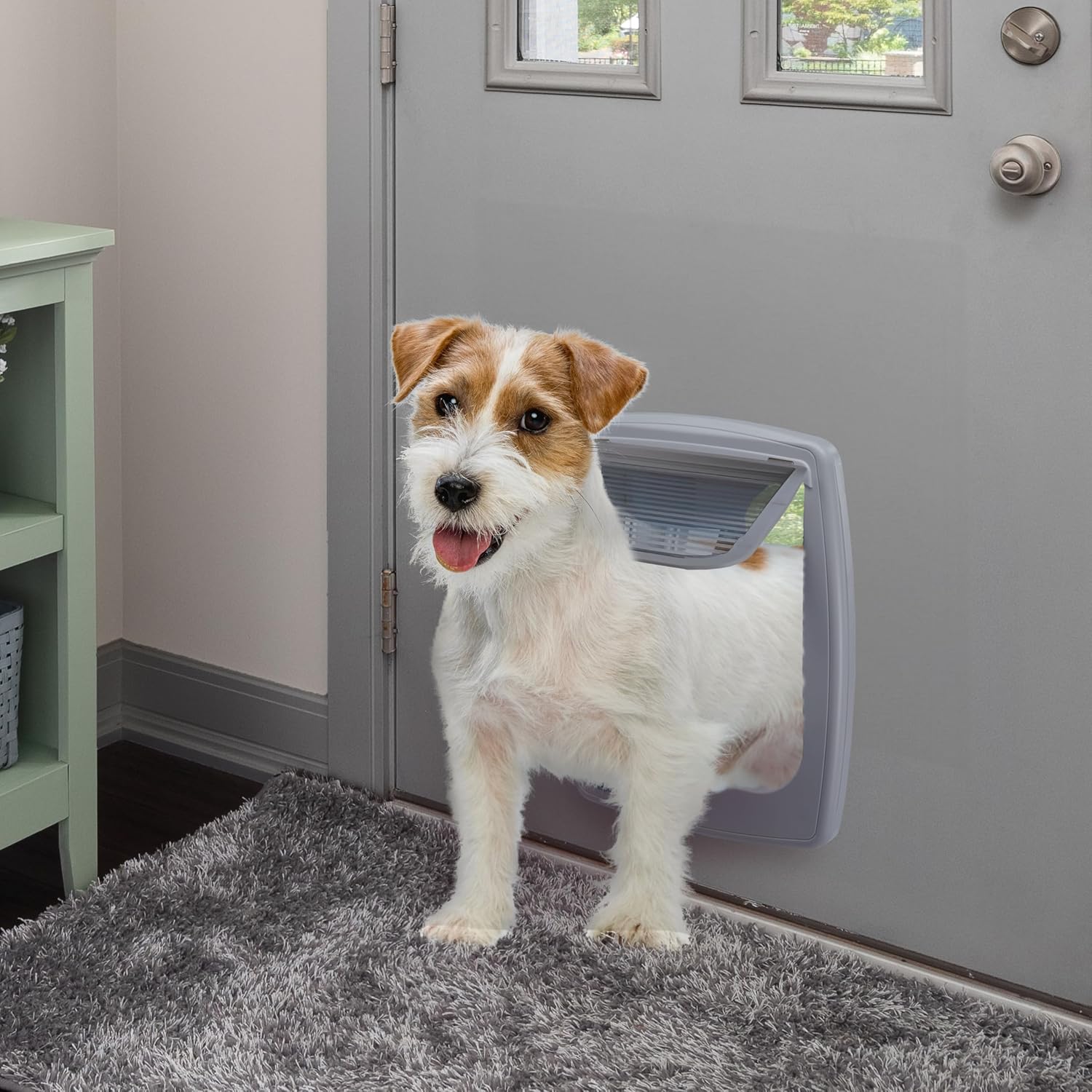 Ferplast Gattaiola per Cani di Taglia Media, Gattaiola per Gatti, Sportello per Animali Domestici a 4 Vie con Ingresso e Uscita Controllabili, con Protezione dalle Correnti d'Aria, Tunnel Completo, Sportello per Cani Swing 11, Grigio