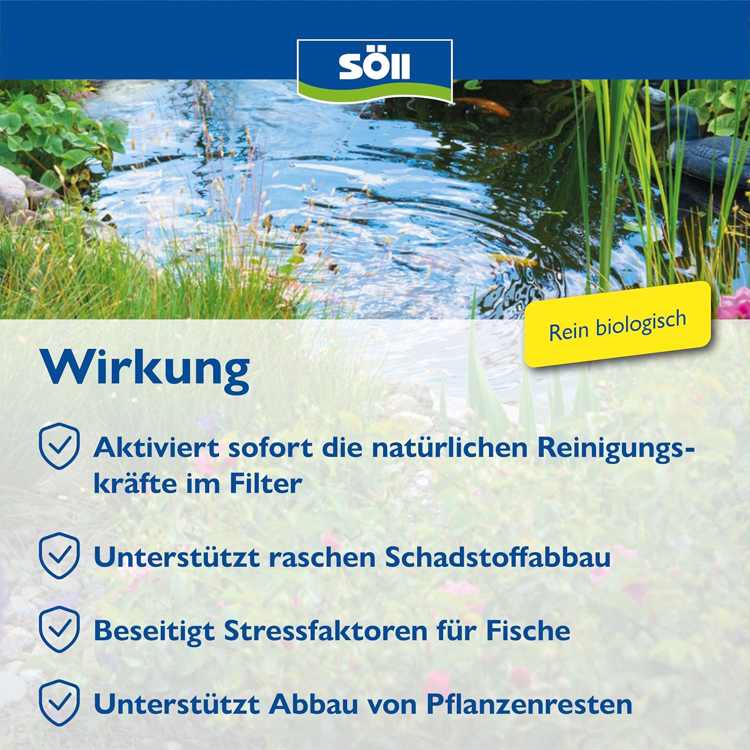 Oase 50170 SwimSkim CWS & Söll 14432 FilterstarterBakterien hochreine Mikroorganismen für Teiche 500 g - natürliche Filterbakterien aktivieren die Biologie der Filter im Gartenteich