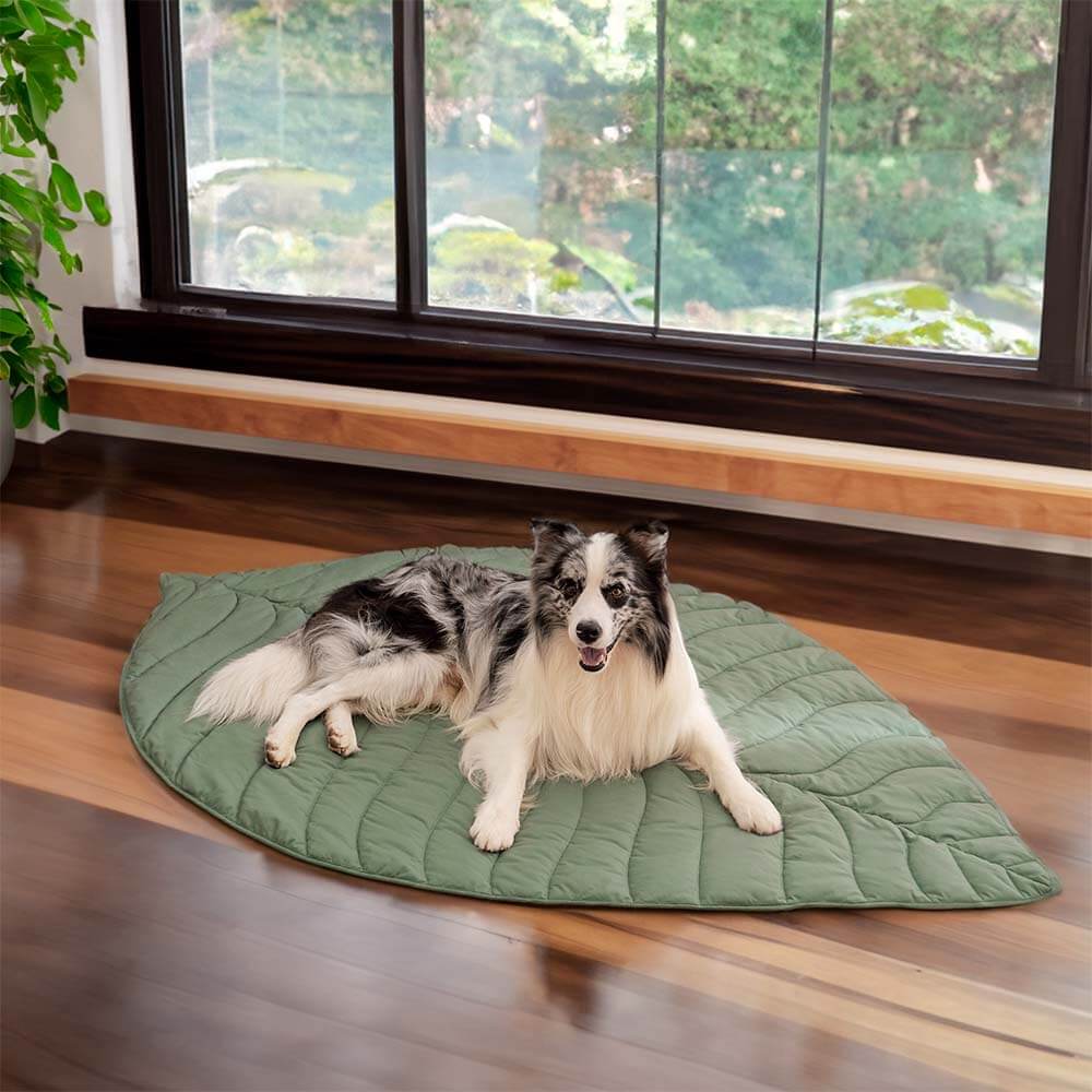 Coperta per cani a forma di foglia per persone - Tappetino comfort extra large