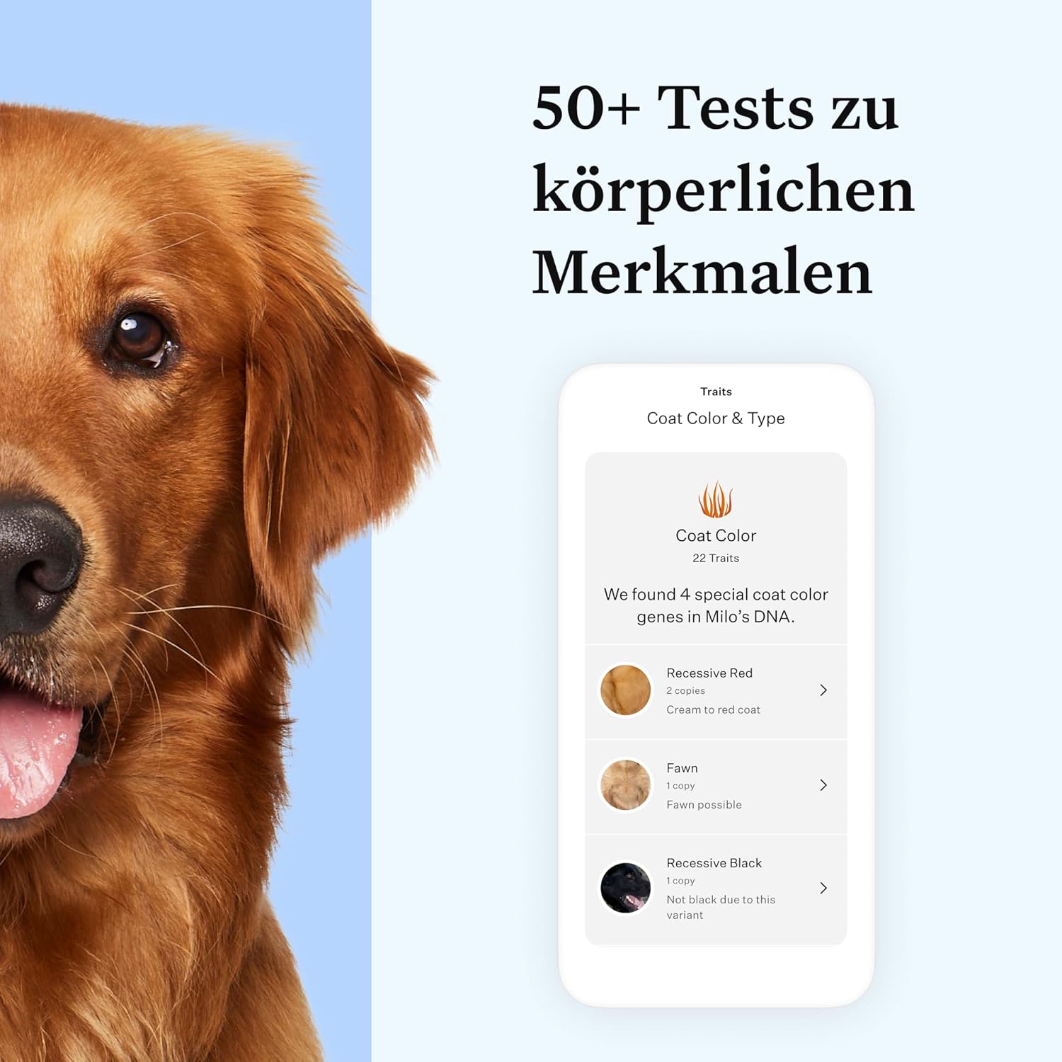 Wisdom Panel Essential Hunde DNA-Kollektorset