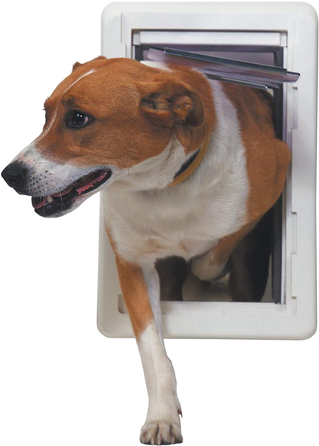 Perfect Pet La porta per cani ad alta efficienza energetica per tutte le stagioni, taglia super grande, sportello da 38,1 x 59,7 cm