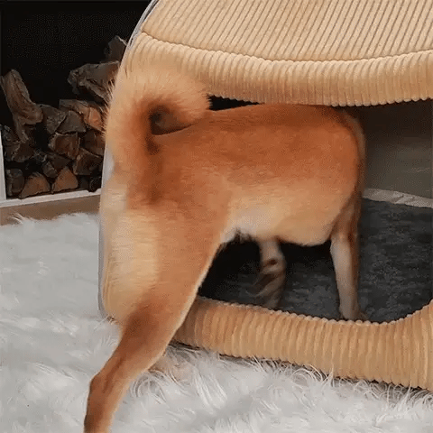 CozyNest – Abnehmbares Hundebett Zelt für Geborgenheit und Komfort