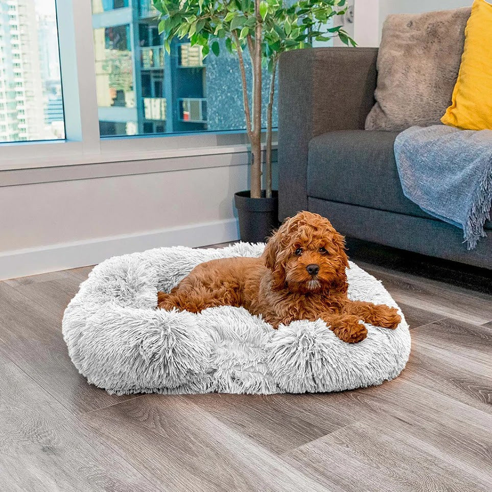 Max | Comoda cuccia per cani con Memory Foam