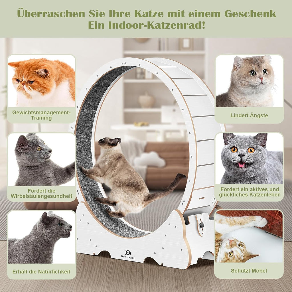Naviconvex Katzenlaufrad laufrad Katze Laufen Laufrad Katze Laufen Super Leise Katzen Laufrad Laufrad für Katzen Laufrad Katze Katzenrad Katzenlaufrad XL Holzfarbe