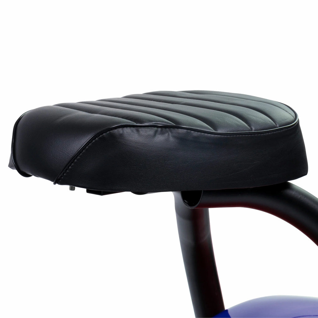 Monopattino elettrico Swoop Cruiser blu N2