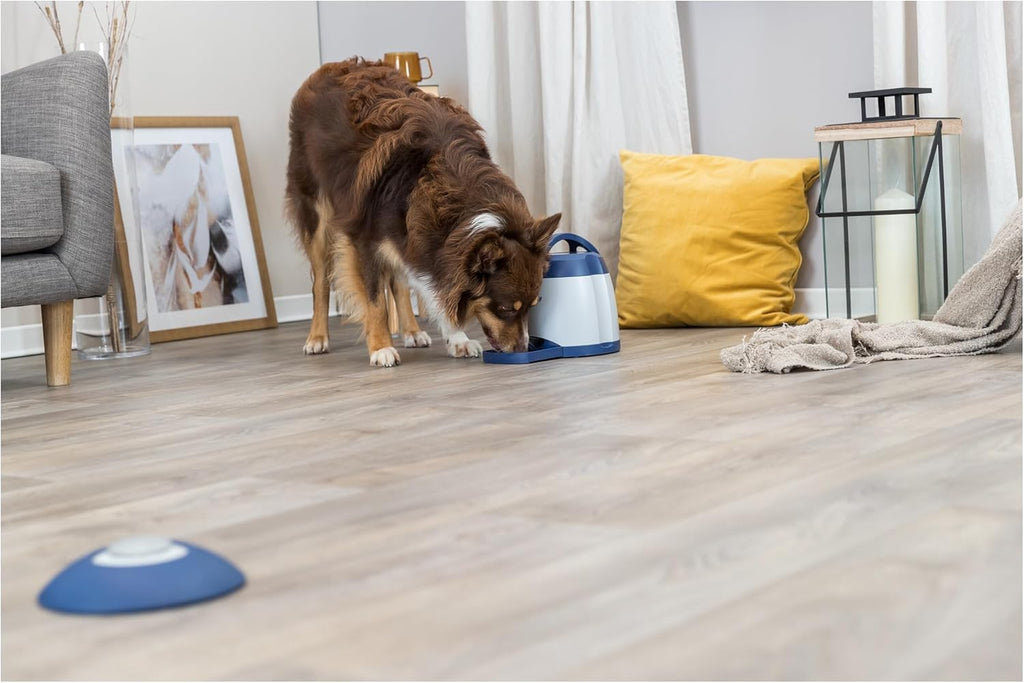 TRIXIE Hundespielzeug Intelligenz Dog Activity Strategie-Spiel Memory Trainer 3.0 – Anspruchsvolles Intelligenzspielzeug für Hunde zur Beschftigung 20x24cm, tierschutzkonform - 32040