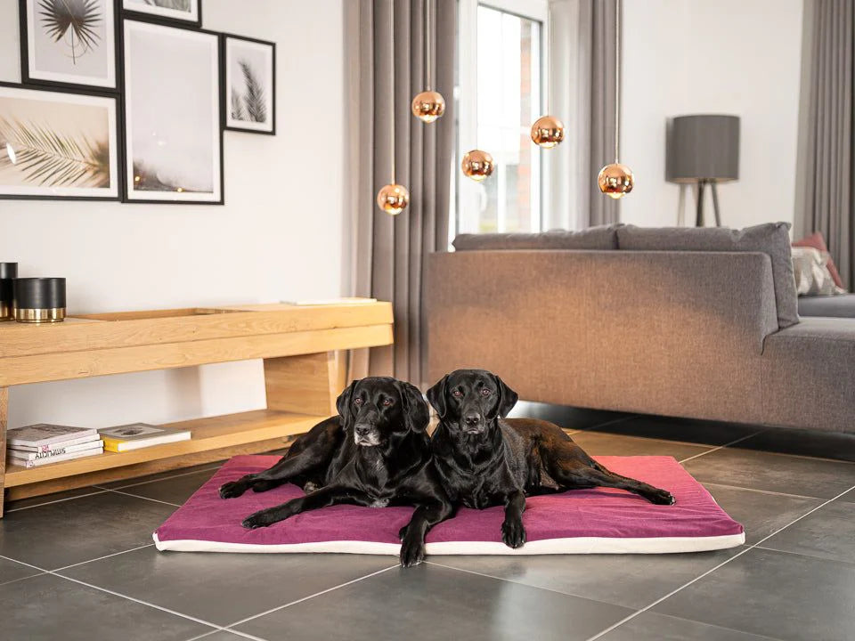 Tappeto per cani Jokkmokk Alltid