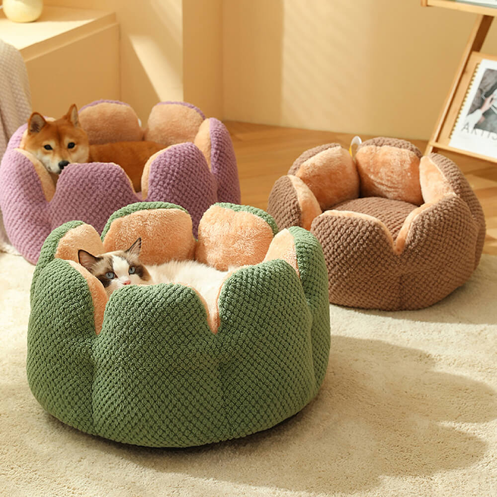 Il letto per animali domestici - Comoda cuccia per gatti a forma di cactus