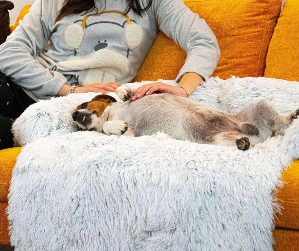 Kuscheliges Hunde-Sofabett Wolkenparadies – Wasserdicht, leicht waschbar & komfortabel
