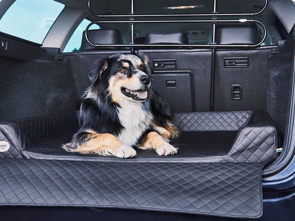 Auto Hundebett Vagn