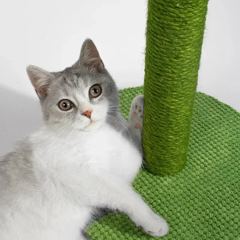 KratzKaktus - L'elegante giocattolo tiragraffi per gatti e amanti dei mobili