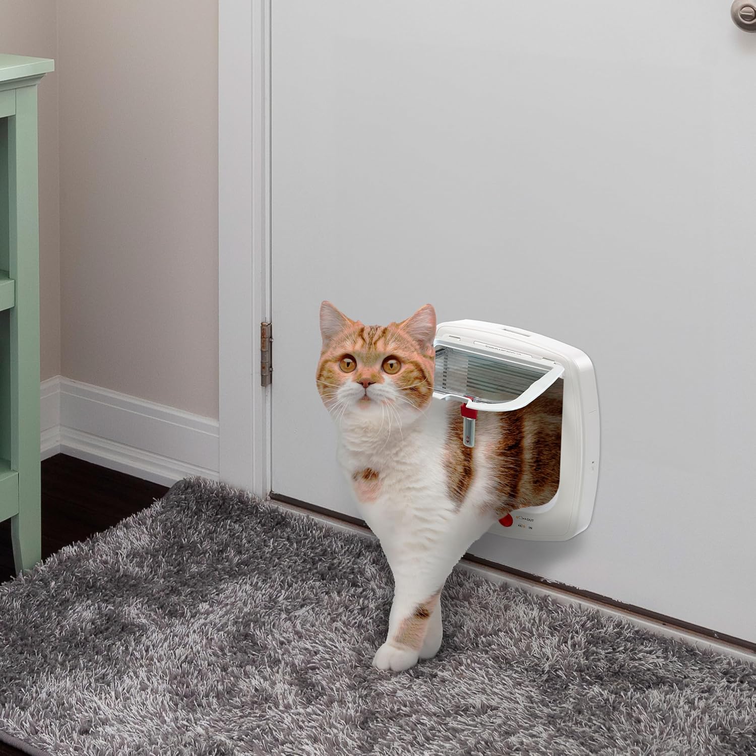 Ferplast Gattaiola per Cani di Taglia Media, Gattaiola per Gatti, Sportello per Animali Domestici a 4 Vie con Ingresso e Uscita Controllabili, con Protezione dalle Correnti d'Aria, Tunnel Completo, Sportello per Cani Swing 11, Grigio