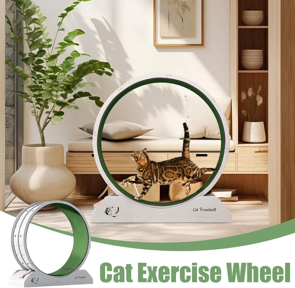Eventerde Ruota per esercizi per gatti - Ruota per gatti | Attrezzatura da fitness per gattini | Ruota da corsa con teaser per gatti da interni per la perdita di peso, Tapis roulant per gattini a basso rumore