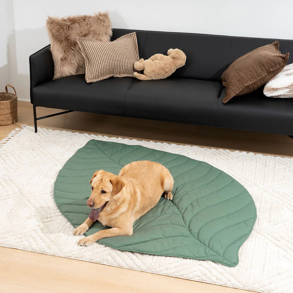 Coperta per cani a forma di foglia per persone - Tappetino comfort extra large