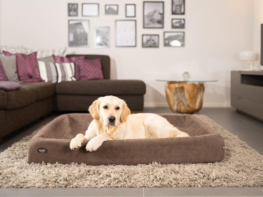 Hundebett KUDDE Wildlederoptik