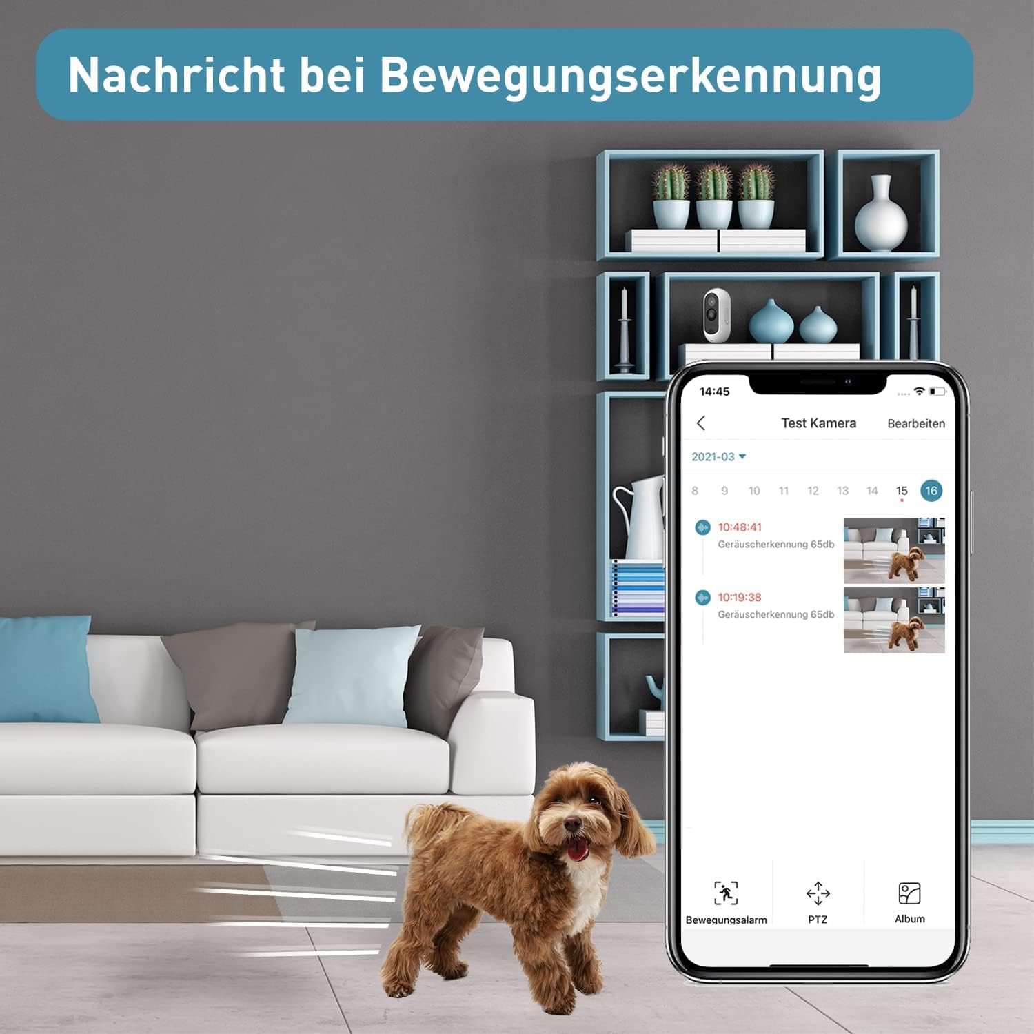 PetTec – Pet Cam Buddy Haustierkamera Futterautomat 8L für Katzen- & Hunde-Trockenfutter – Automatischer Futterspender mit WLAN & App-Steuerung -Inkl. 2-Wege-Audio, Bellerkennung & Nachtsicht