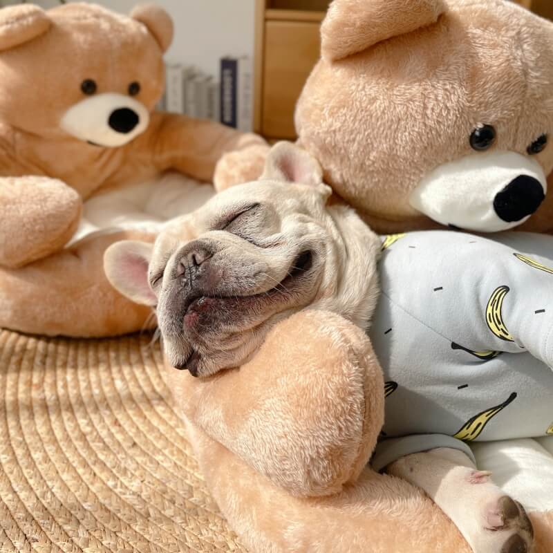 Sandy | Kuscheliges Hundebett in Teddyform