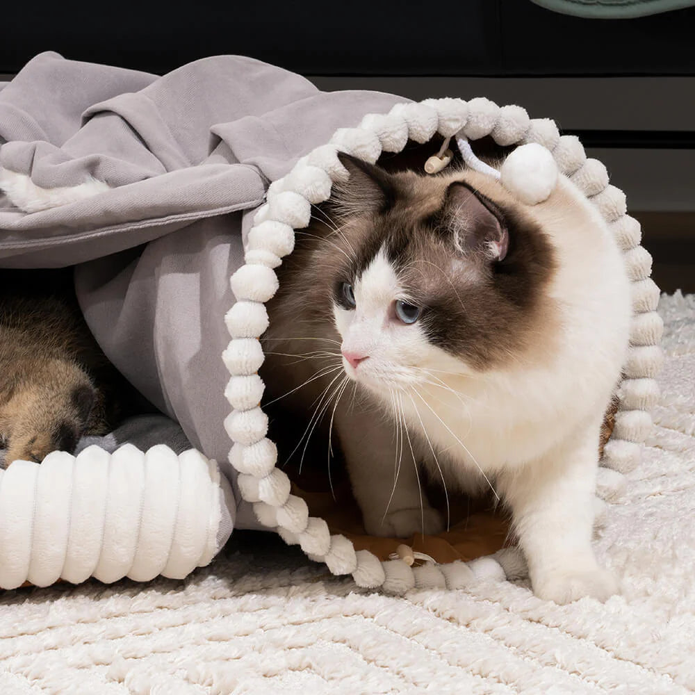 Faltbarer ComfyCat-Tunnel – Kuscheliges 2-in-1 Bett für drinnen