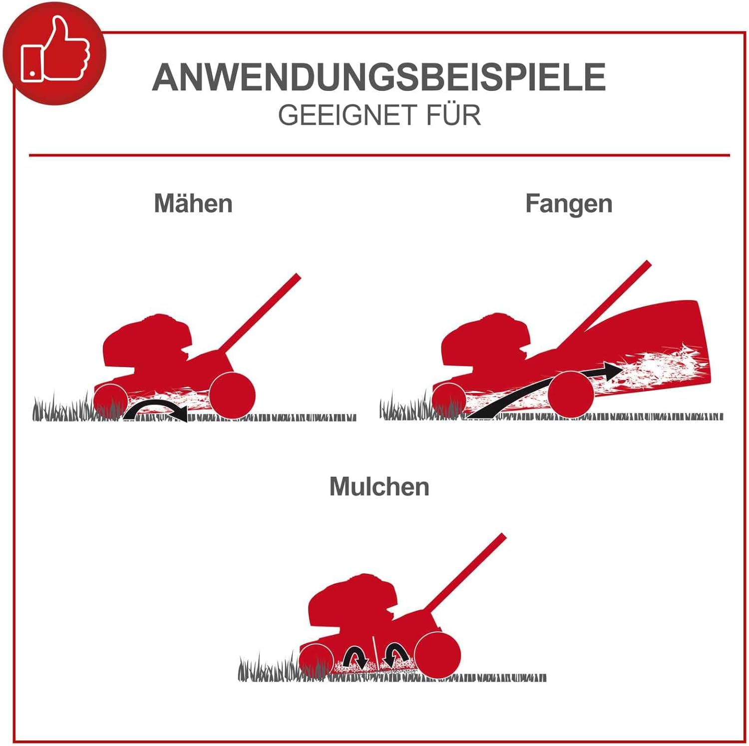 Scheppach MS161-46 Tosaerba a benzina - Larghezza di taglio 46 cm | Sacco di raccolta da 55 litri | Telaio in acciaio | Regolazione altezza a 7 livelli | Funzione mulching | Trazione | Scarico laterale | incl. olio motore