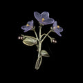 Violetta africana - Spilla
