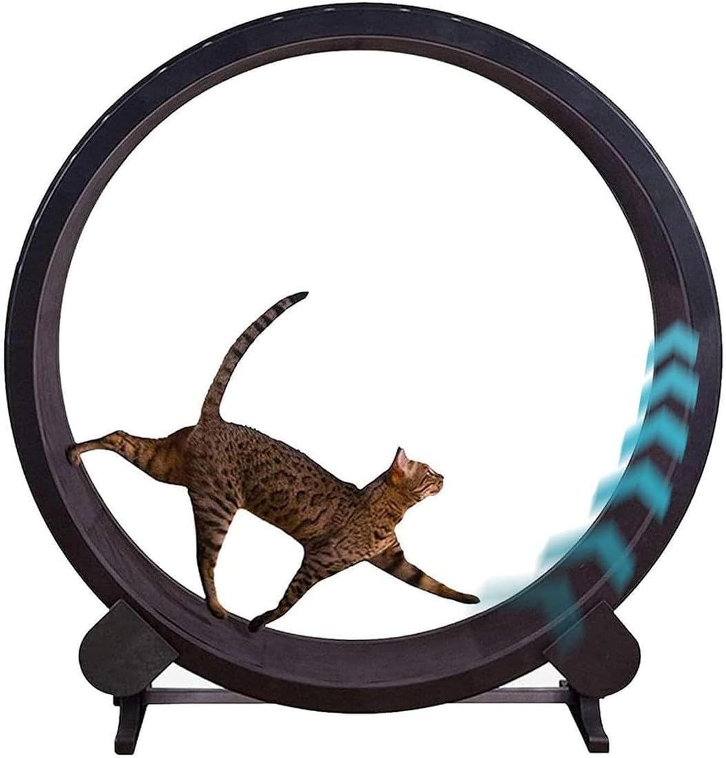 Katzen Laufrad aus Holz, Katzenlaufrad leise – Katzenlaufrad für Spiel und Fitness – Holz Laufrad für Katzen – Interaktives Katzenspielzeug – Laufrad Katze