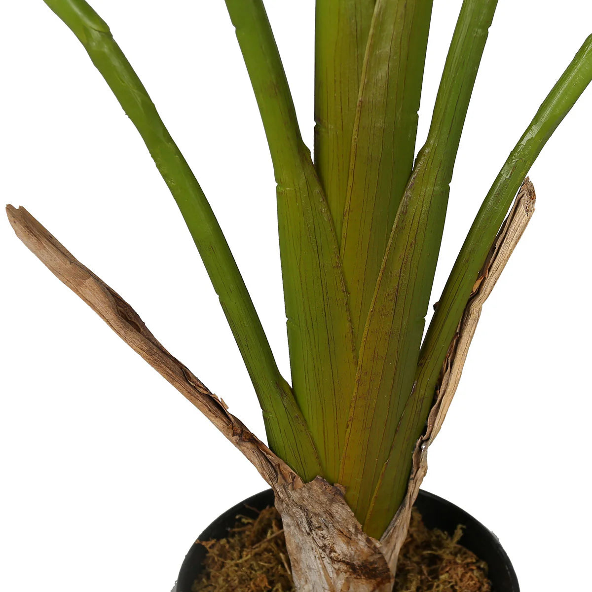 Lykke Pianta artificiale Strelitzia 90cm