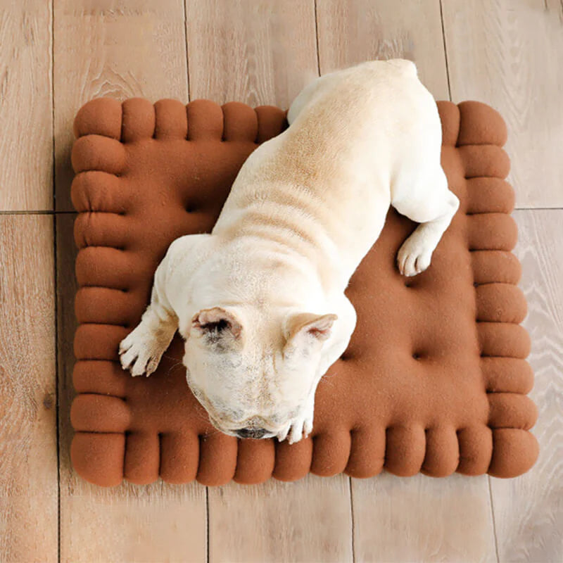 Komfortables Hundebett – Keksform für stilvolles Schlafen