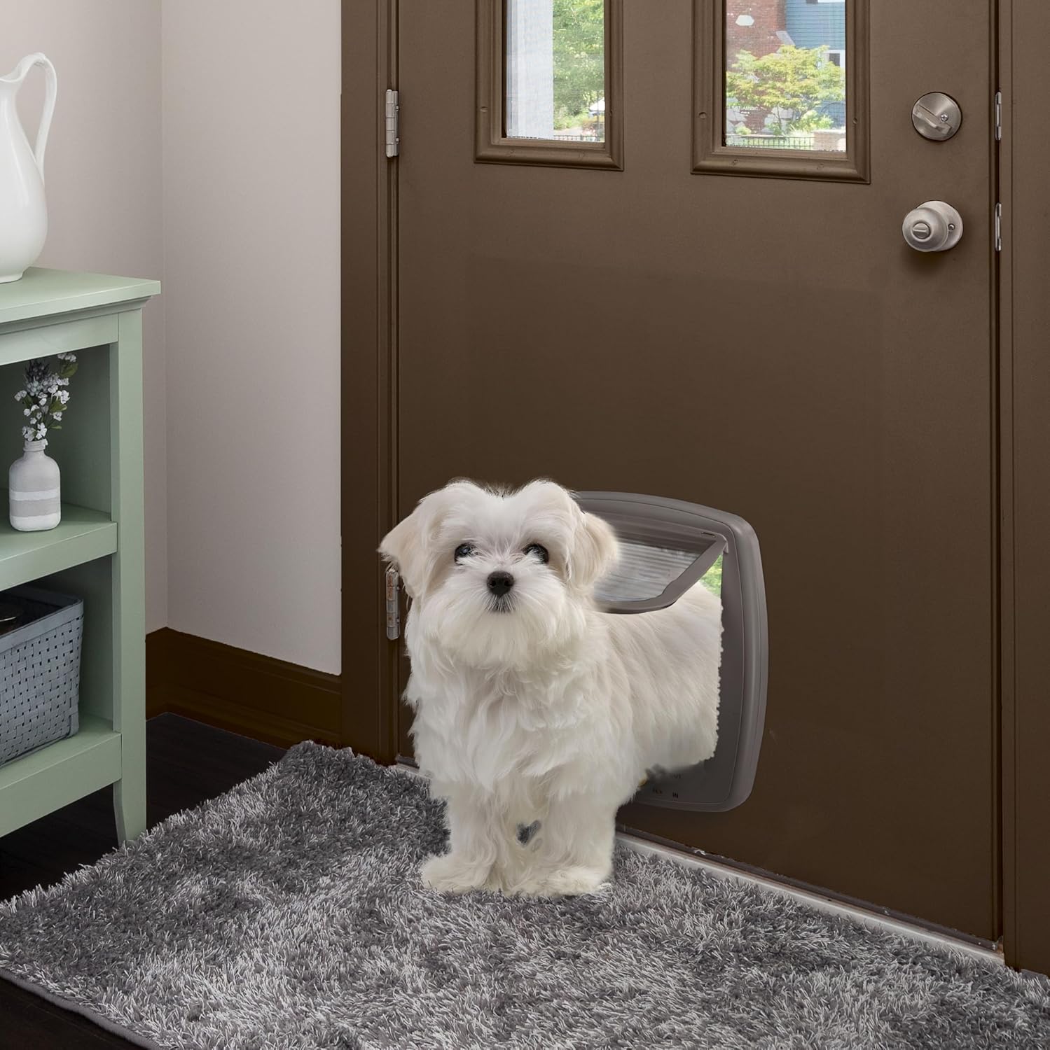 Ferplast Gattaiola per Cani di Taglia Media, Gattaiola per Gatti, Sportello per Animali Domestici a 4 Vie con Ingresso e Uscita Controllabili, con Protezione dalle Correnti d'Aria, Tunnel Completo, Sportello per Cani Swing 11, Grigio