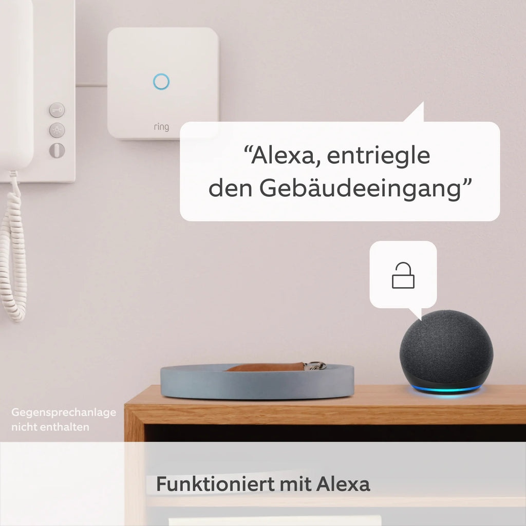 Ring Intercom + Schnellwechsel-Akkupack