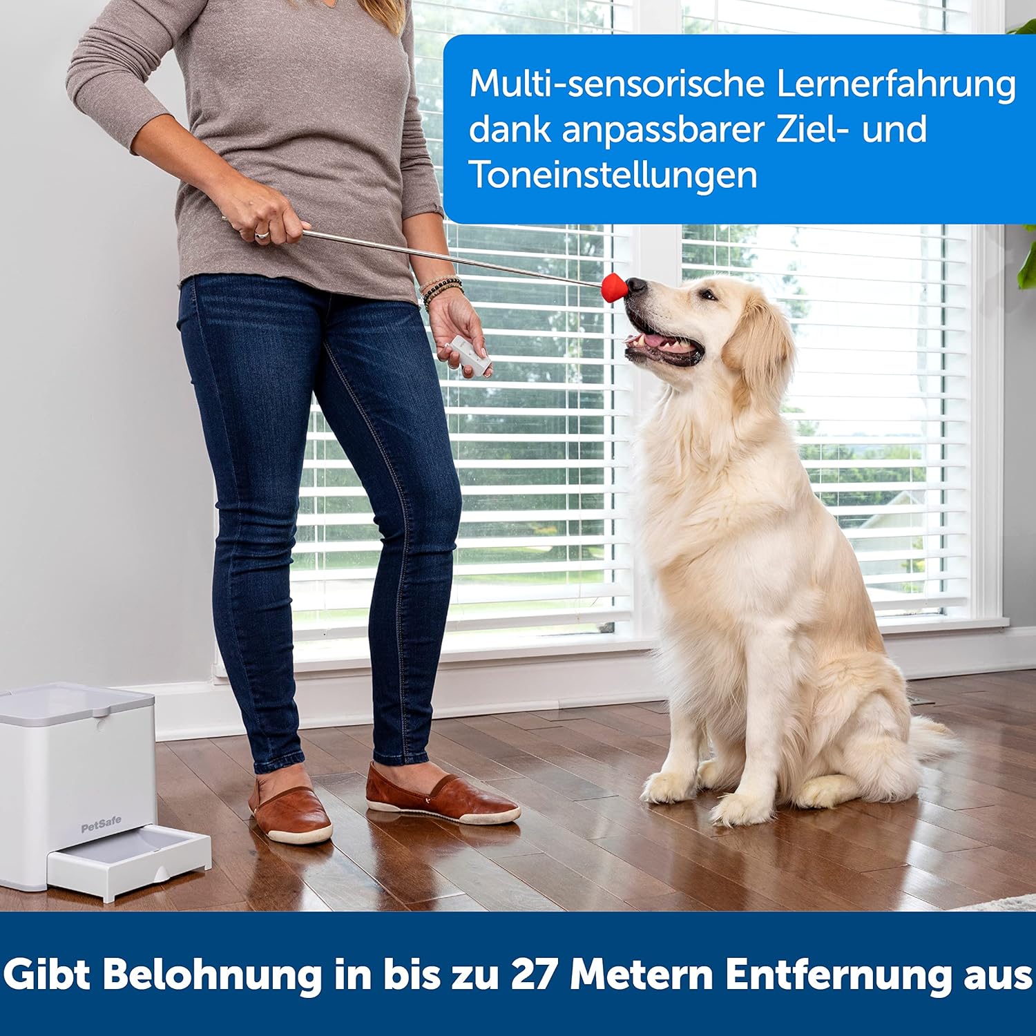 PetSafe Teach and Treat, distributore di premi per addestramento cani, telecomandato, per addestramento e rinforzo positivo, richiede 4 batterie D, grigio