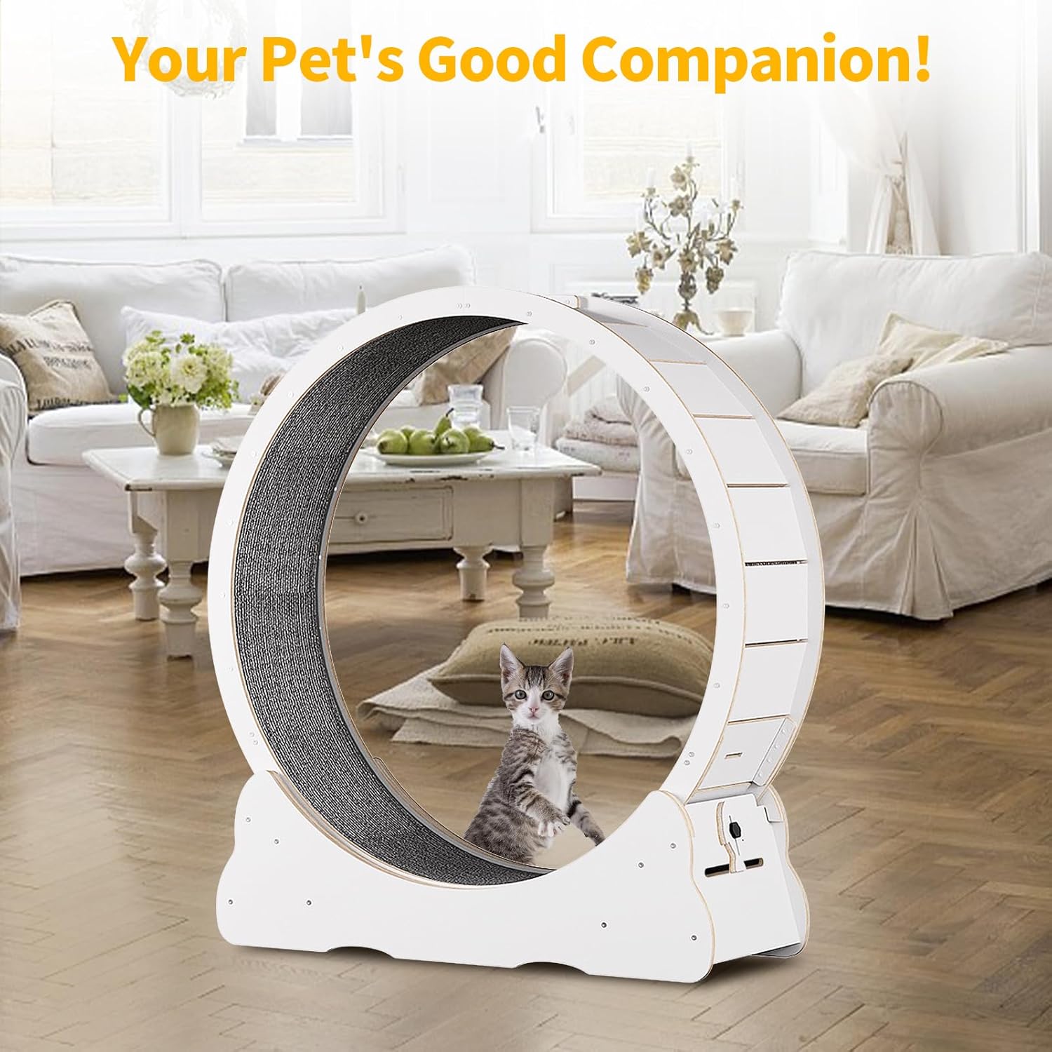 Keyzone Ruota per esercizi per gatti, 1100 x 345 x 1170 mm Tapis roulant per gatti, Tapis roulant con moquette, Attrezzatura fitness per la perdita di peso, Giocattolo sportivo per gatti, Per una vita più lunga del gatto