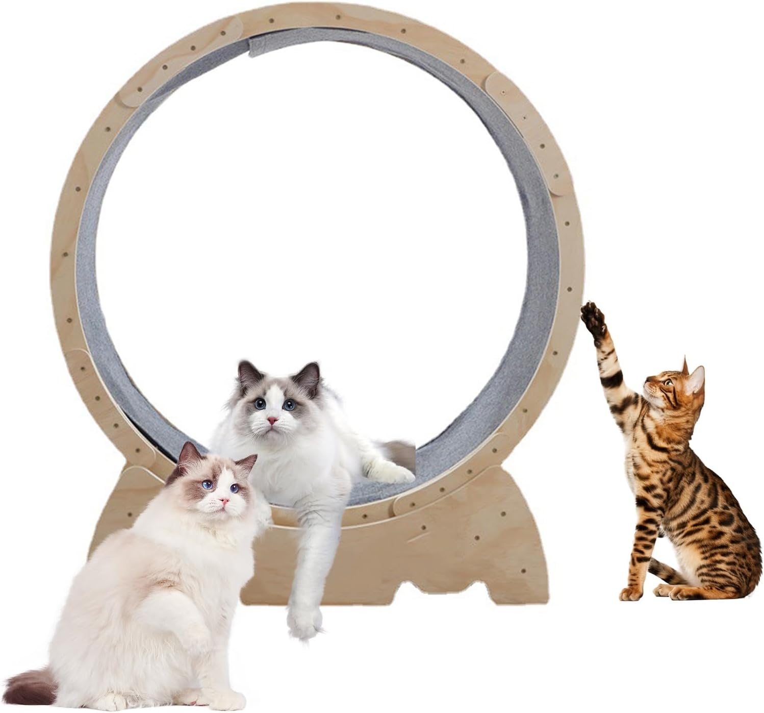 Roadoor 111,8 cm großes Katzen-Laufrad für Indoor-Katzen, Laufband zum Kratzen mit natürlicher Holzfarbe, Laufrad, Kratzbaum Karton für Katzenunterhaltung