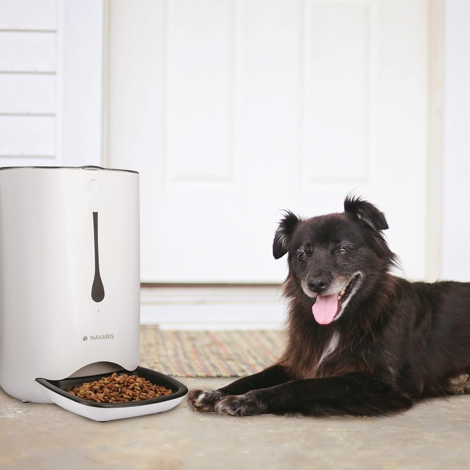 Navaris Distributore Automatico di Cibo con Timer - Ciotola per Alimenti Automatica da 6L con Timer e Notifica Sonora - per Cane e Gatto