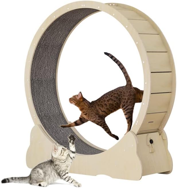 Katzenlaufrad Laufrad für Katzen, Laufrad Katze, 90cm-Laufband mit Teppichboden, Katzenrad Fitnessgert zur Gewichtsabnahme, für EIN lngeres Leben der Katze