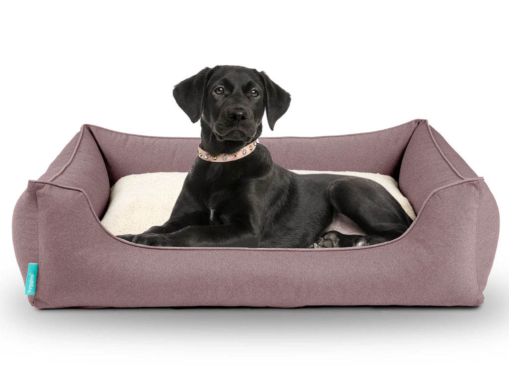 Dreamer Perfect Cuccia per Cani