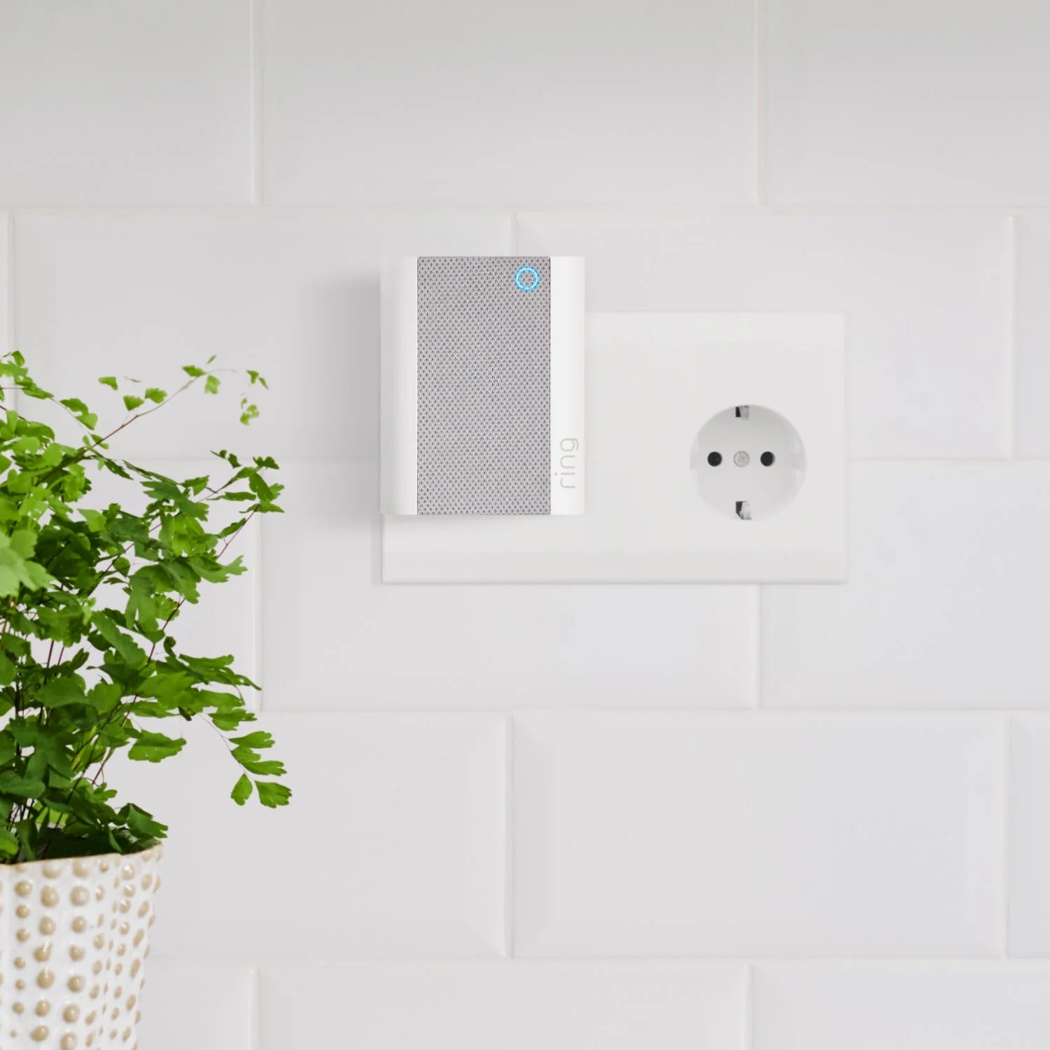Battery Video Doorbell Plus mit Chime