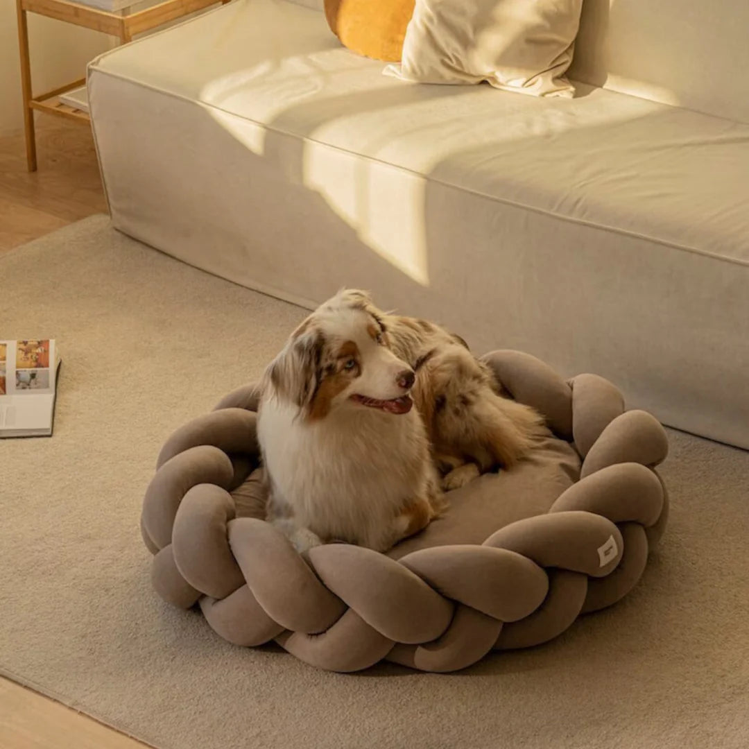 Exklusives Hundebett für Ihren Liebling