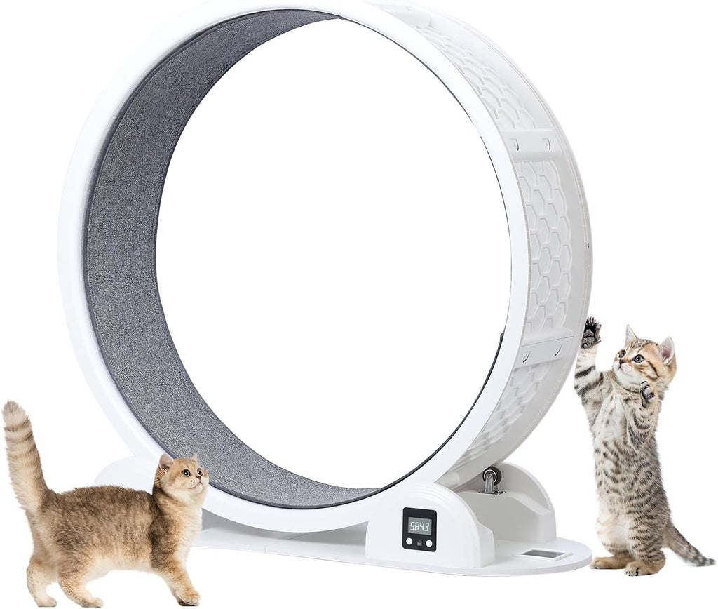 Utaxuper Ruota per gatti 110 cm ad energia solare con contatore Ruota gatti Ruota per gatti Cat Wheel per gatti piccoli gatti grandi interni Bianco