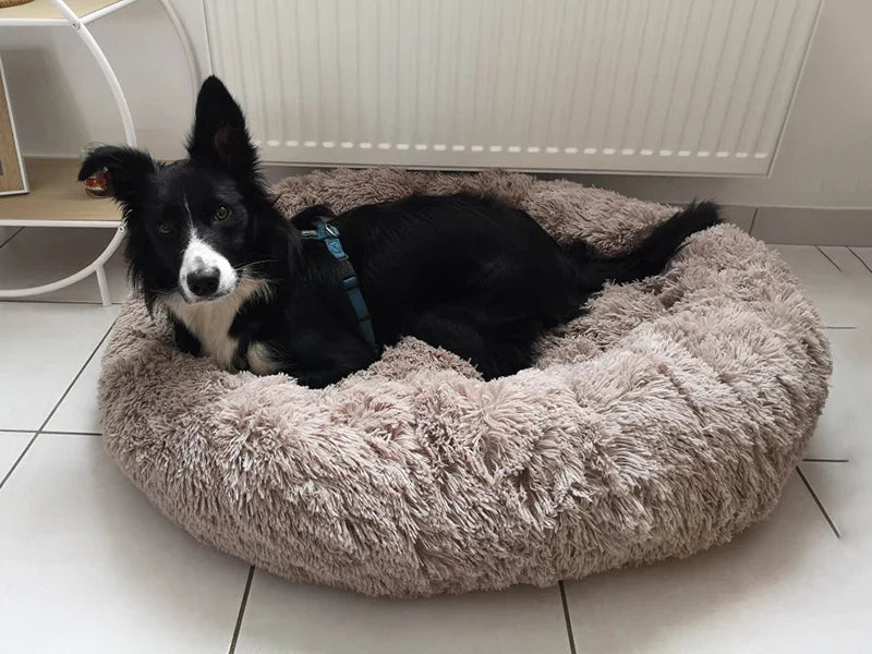 Cuccia per Cani Luna Soffice e Calmante - Cuscino Rotondo per Cani Piccoli, Medi e Grandi