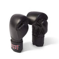 Guantoni da allenamento Paffen Sport Kibo Fight