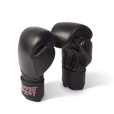 Guantoni da allenamento Paffen Sport Kibo Fight